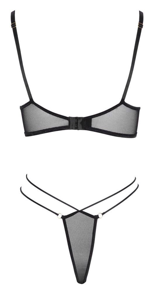 6-Bra and Rio L-6