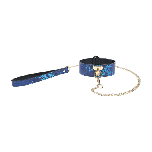 2-Florence Collection - Collar with Leash - Blue-2