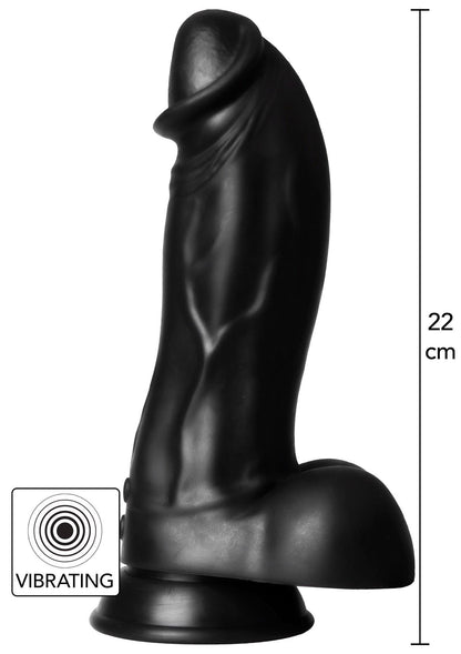 2-Dildo wibrujące dinozaur Hidden Desire czarny 22 cm-2
