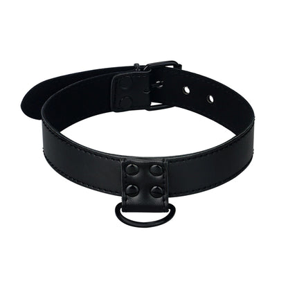 4-Bondage Fetish Black Matt Collar With Leash-4