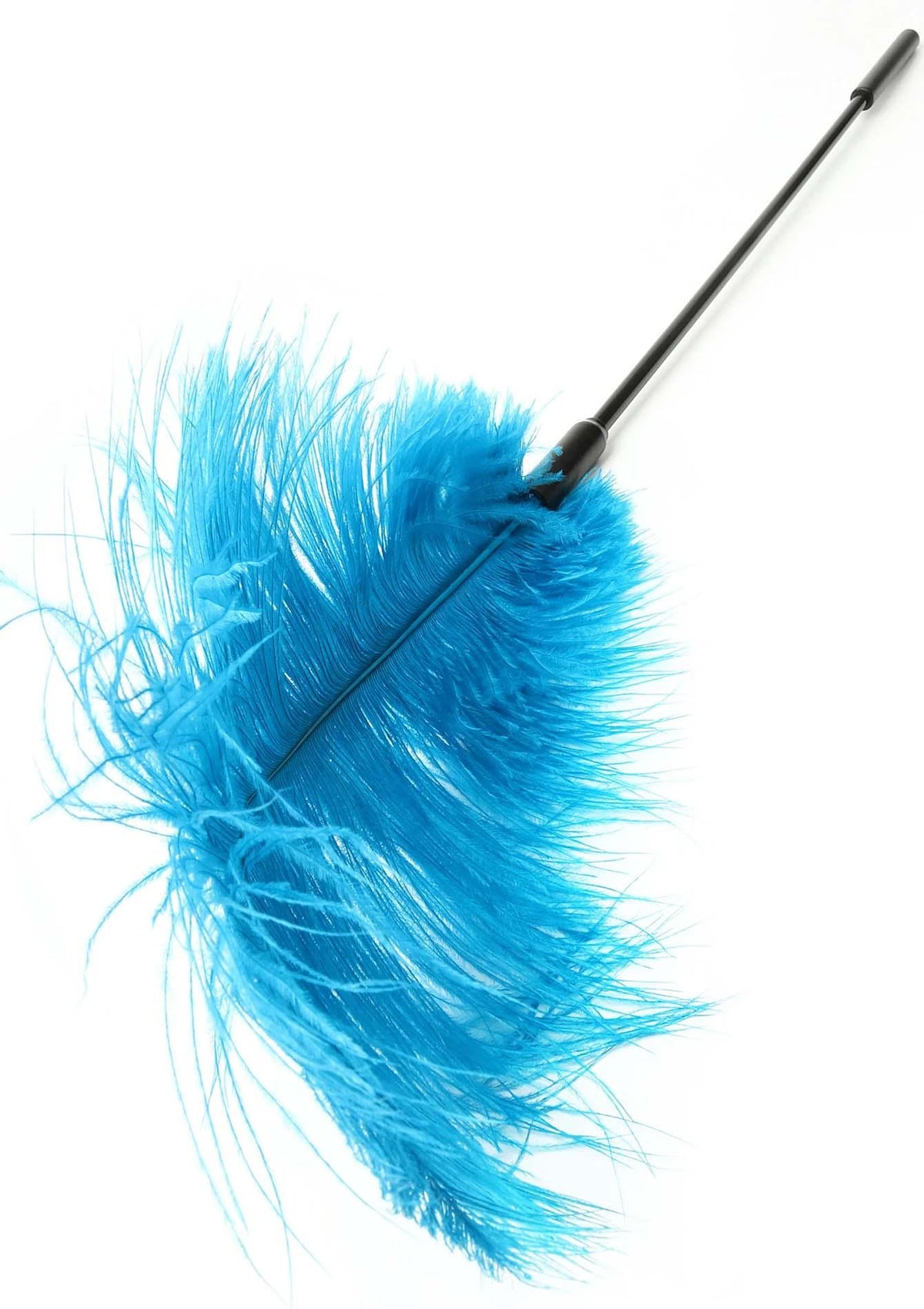 4-Double Feather Tickler Blue-4