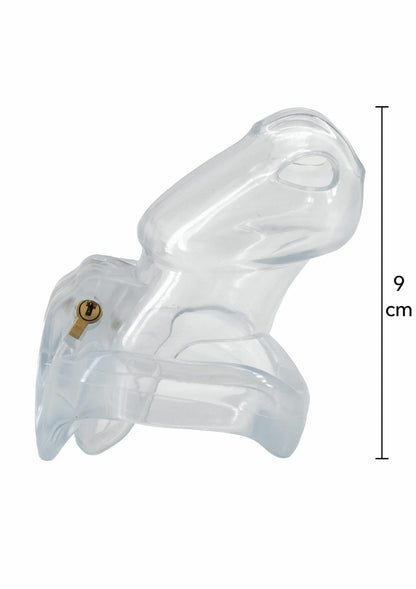 4-Pas cnoty Clear Control przezroczysty Hidden Desire 10 cm-4