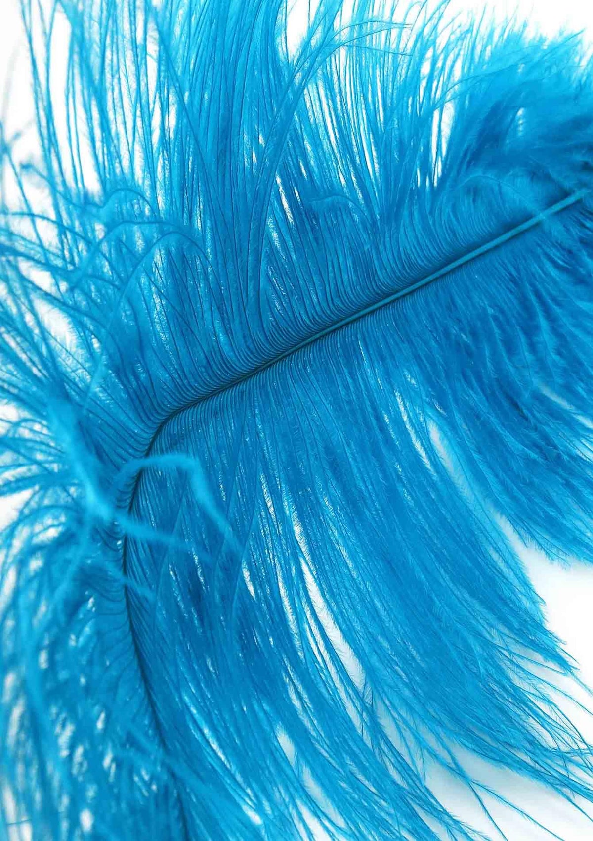 5-Double Feather Tickler Blue-5