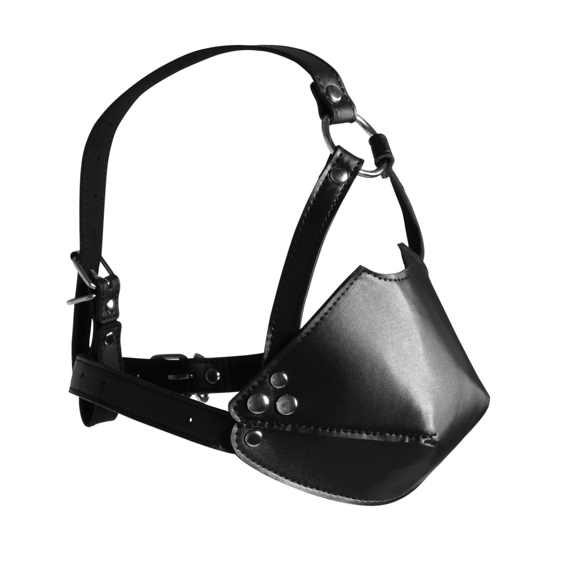 2-Head Harness with Mouth Cover and Solid Ball Gag - Black-2