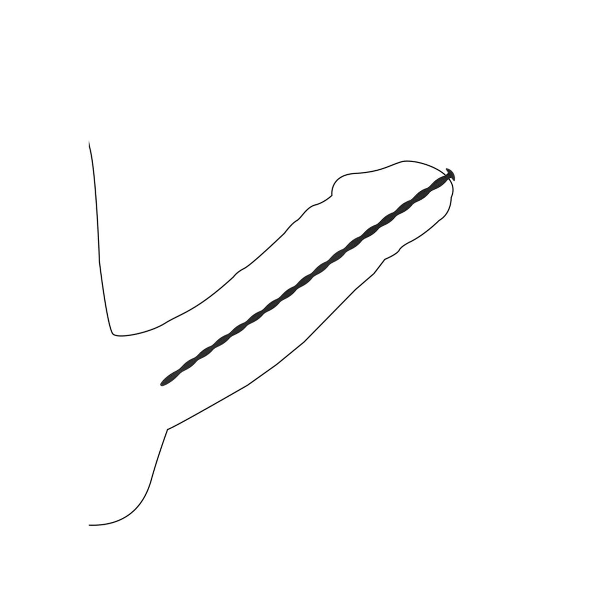 1-Zestaw silikonowych sond skręconych Ouch! dla początkujących 30 cm-1
