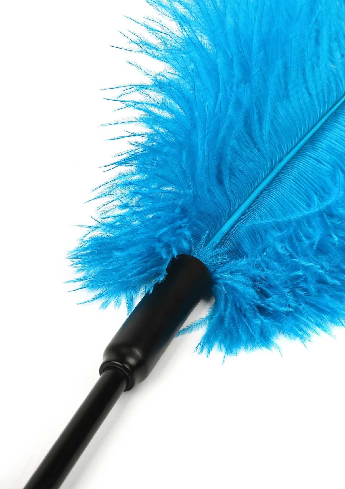 3-Double Feather Tickler Blue-3