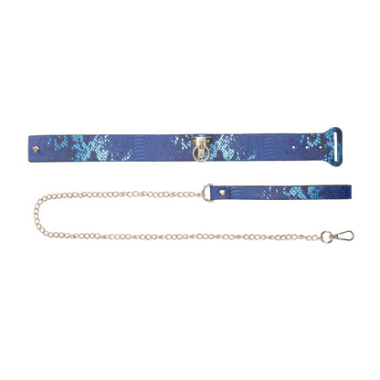 3-Florence Collection - Collar with Leash - Blue-3