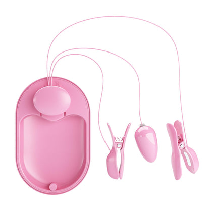 12-PRETTY LOVE - Surprise Box Pink, 12 vibration functions 3 electric shock functions-12