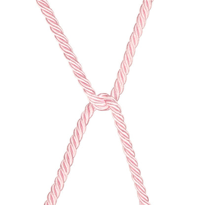 9-Rebellion Reign Rose Silky Bondage Rope-9