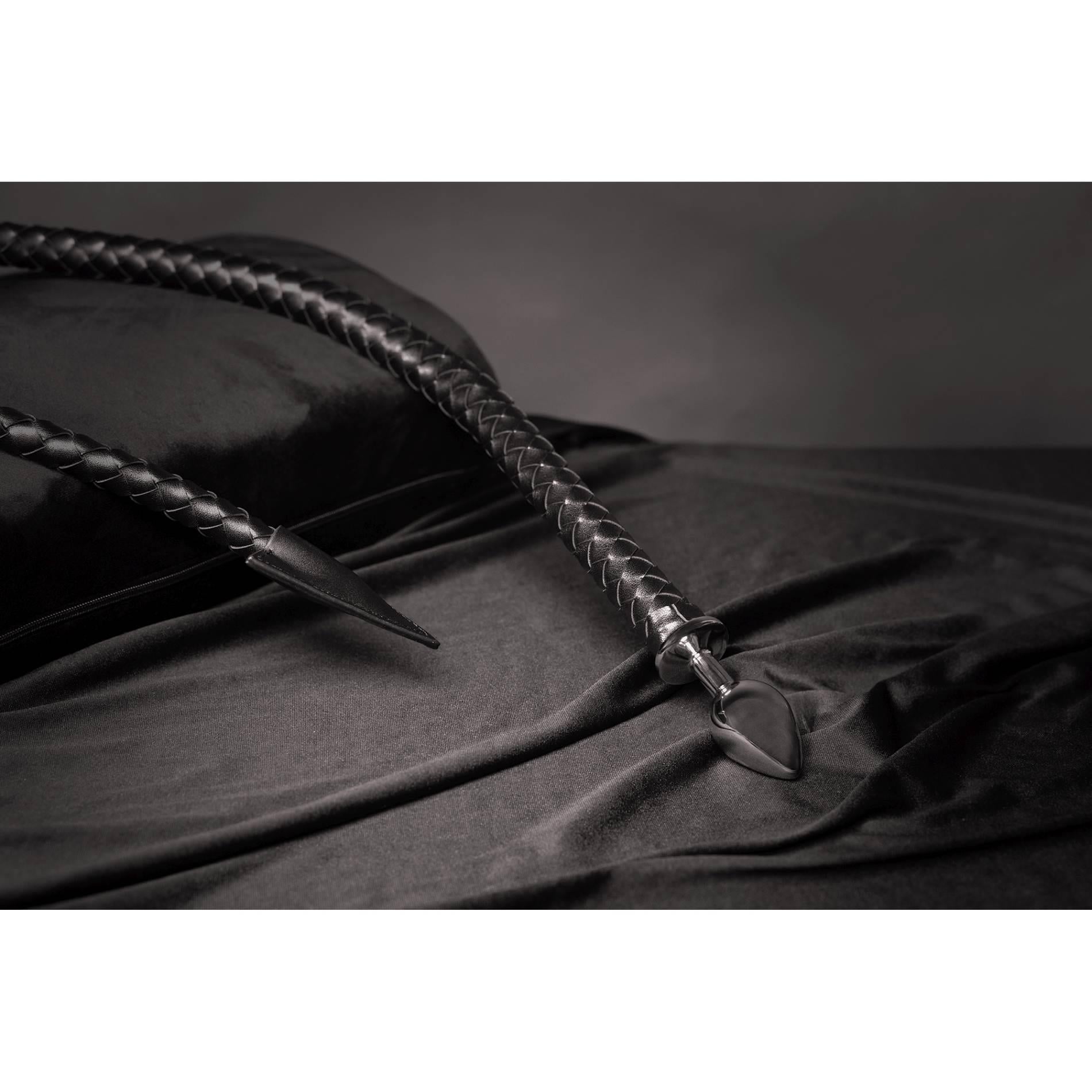 6-Metal Anal Plug Devil's Tail-6