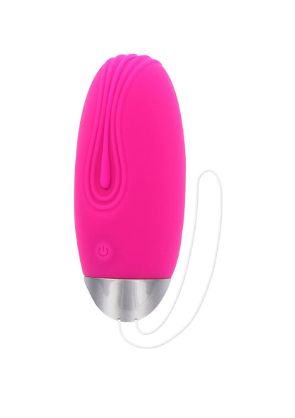3-Funky Remote Egg-3