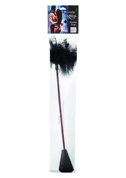 4-Pejcz-SCANDAL FEATHER CROP-4