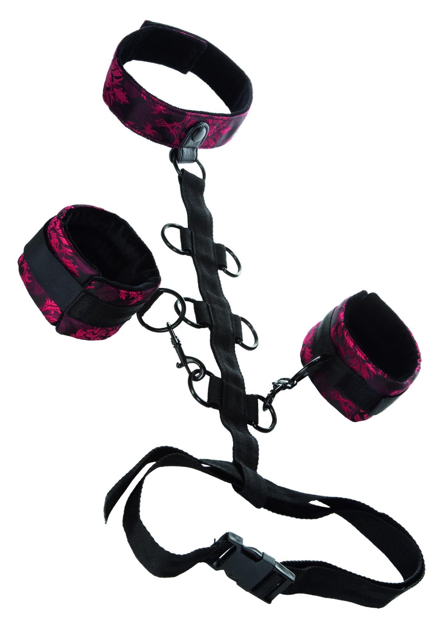 2-Wiązania-SCANDAL COLLAR BODY RESTRAINT-2