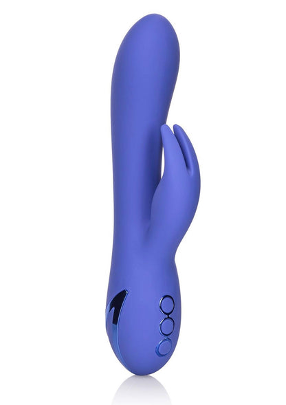 1-Wibrator-Beverly Hills Bunny-1