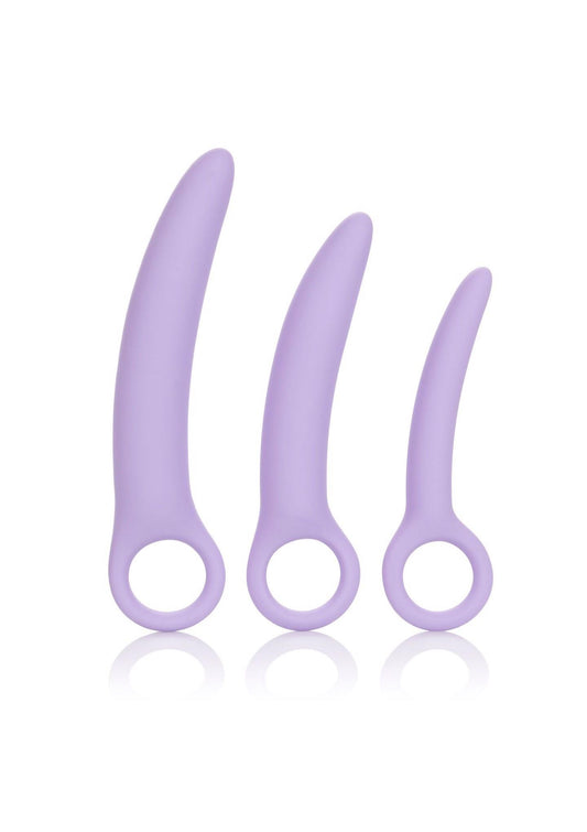 1-Alena Set of 3 Dilators Purple-1