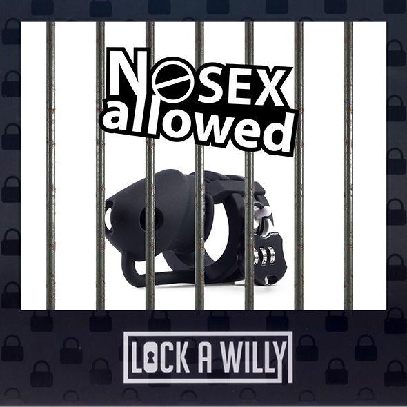 4-Klatka Na Penisa Lock-a-Willy-4