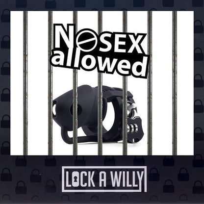 4-Klatka Na Penisa Lock-a-Willy-4