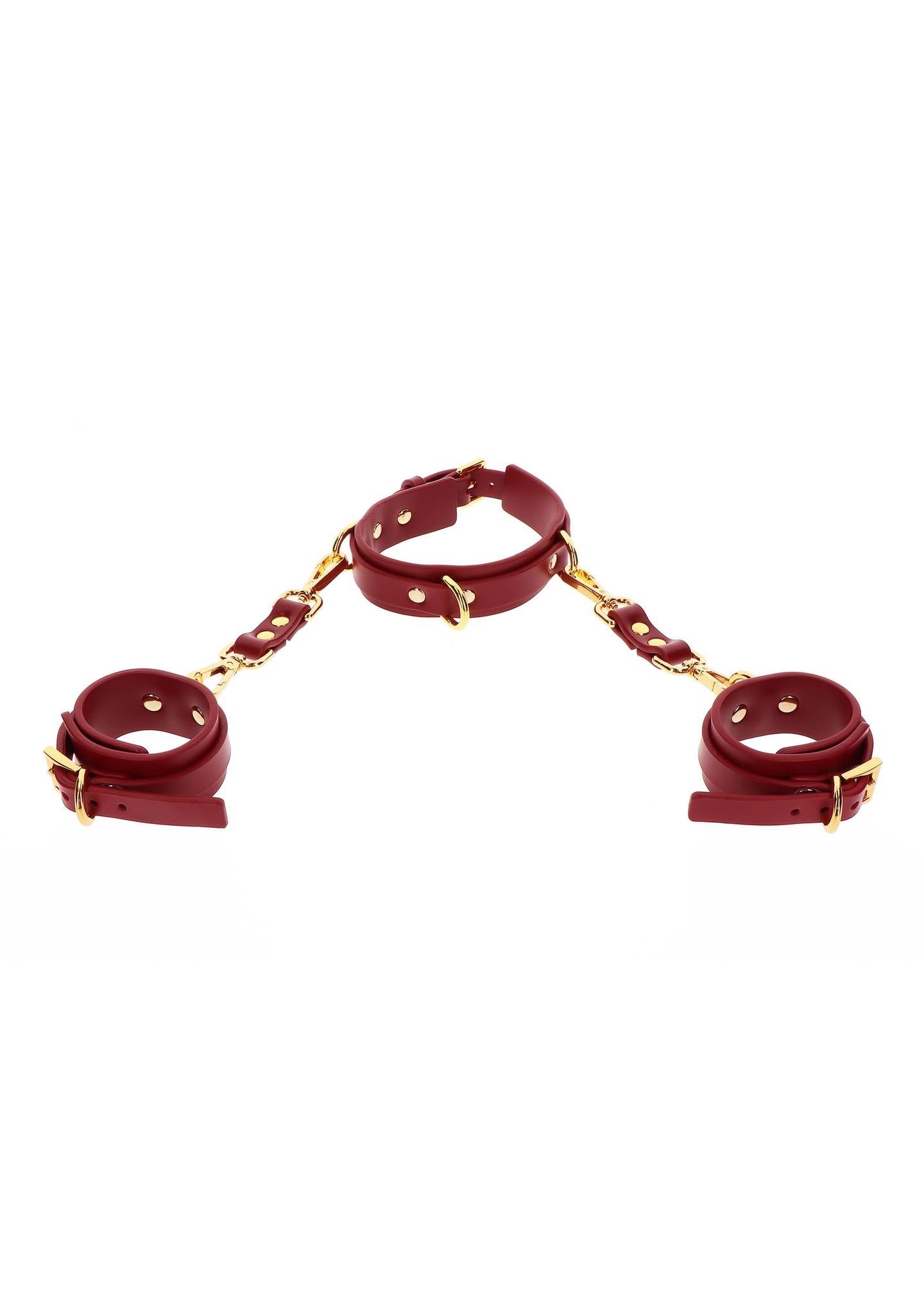 4-D-Ring Collar and Wrist Cuffs-4
