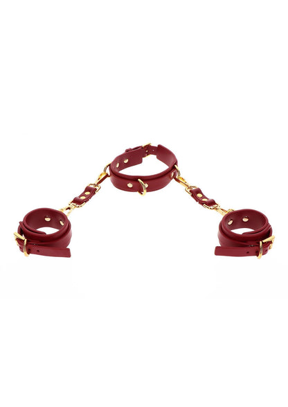 4-D-Ring Collar and Wrist Cuffs-4