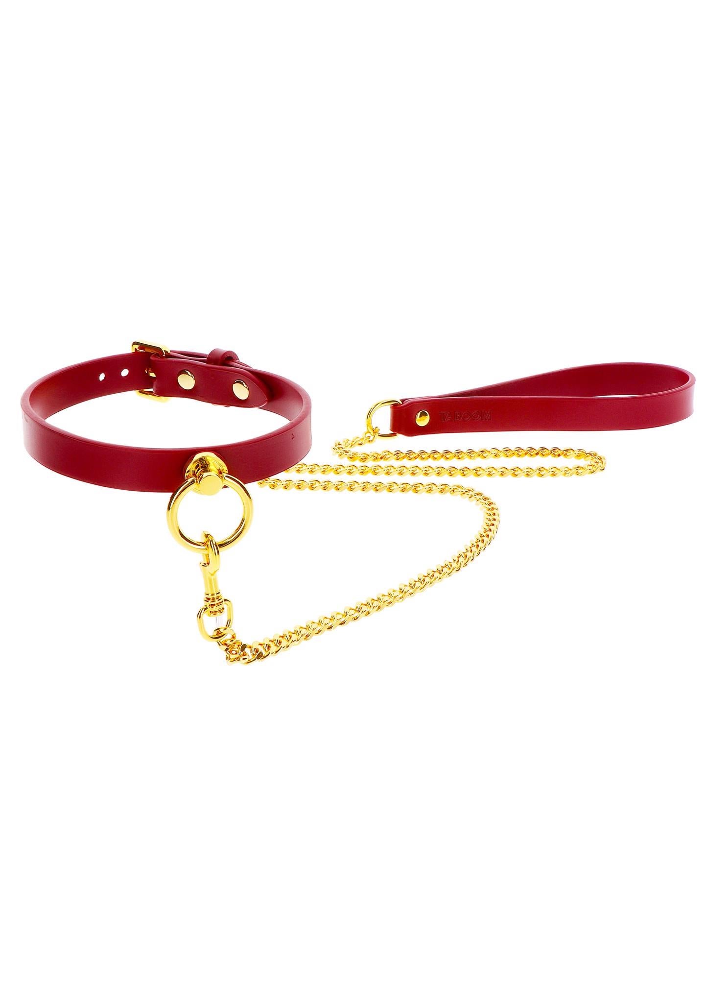1-O-Ring Collar and Chain Leash-1
