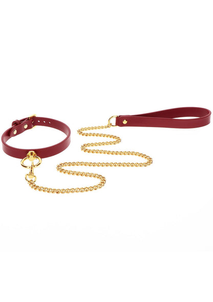 4-O-Ring Collar and Chain Leash-4
