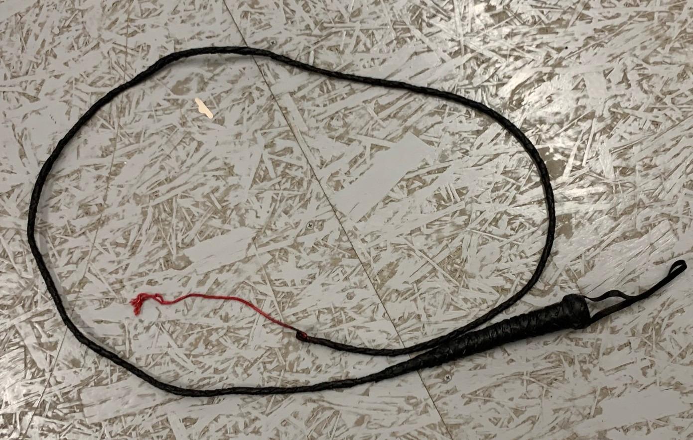 1-Kinky Fetish - Mega Whip - 225 cm - black-1
