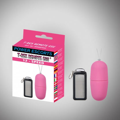 1-T rex remote egg pink remote control egg 12 speed-1