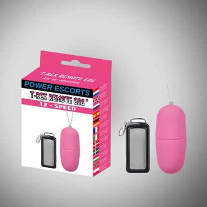2-T rex remote egg pink remote control egg 12 speed-2