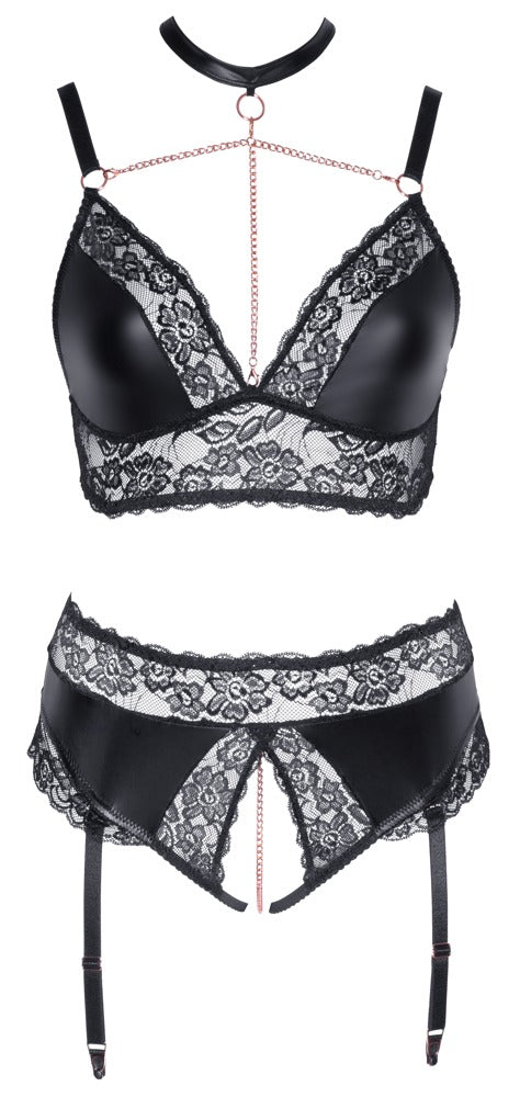 10-Bra and Suspender Briefs XL-10