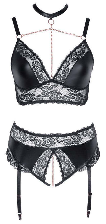 10-Bra and Suspender Briefs XL-10