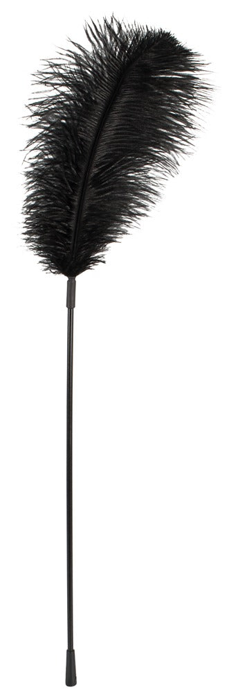 2-Black feather Bad Kitty-2