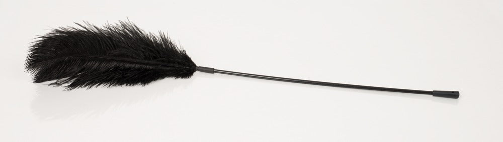 4-Black feather Bad Kitty-4
