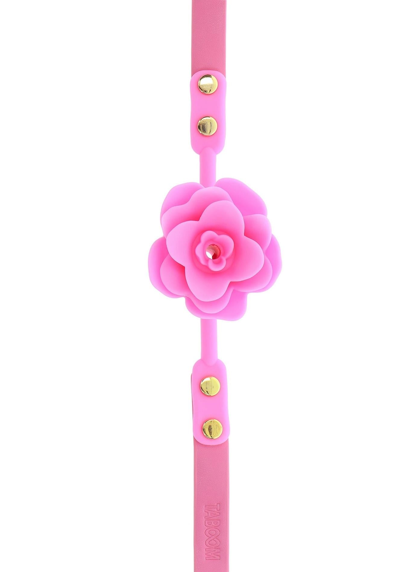 5-Mouth Gag Pink-5