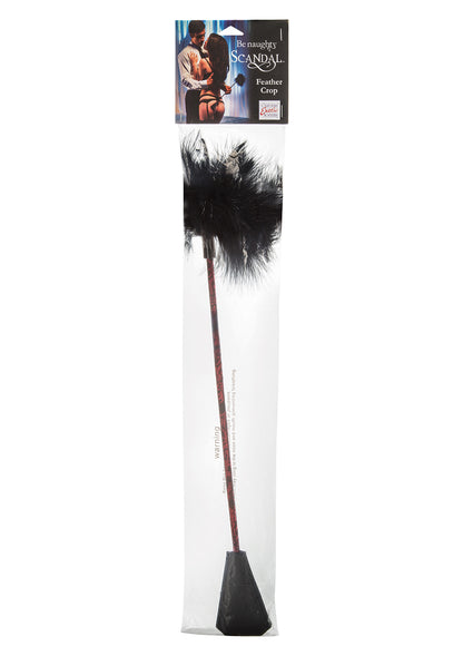 3-Pejcz-SCANDAL FEATHER CROP-3