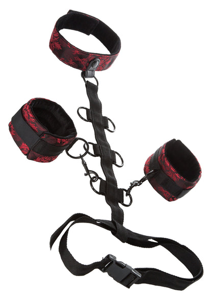 1-Wiązania-SCANDAL COLLAR BODY RESTRAINT-1
