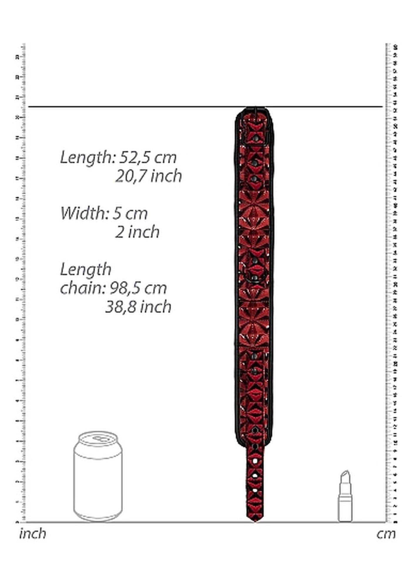 4-Luxury Collar with Leash - Burgundy-4