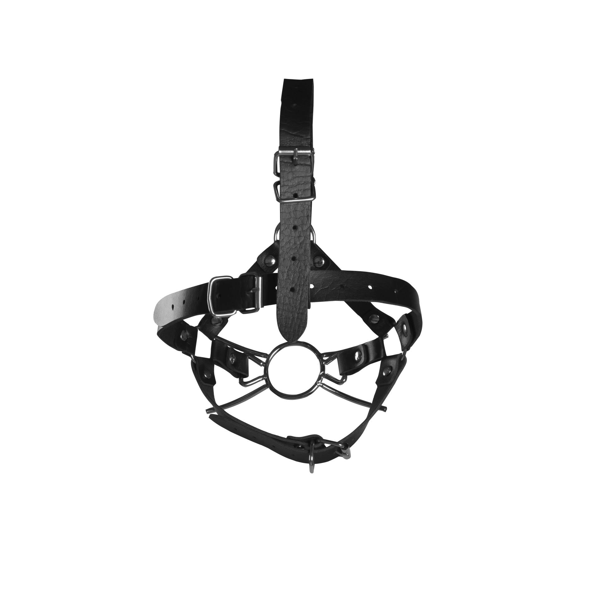 4-Head Harness with Spider Gag and Nose Hooks - Black-4