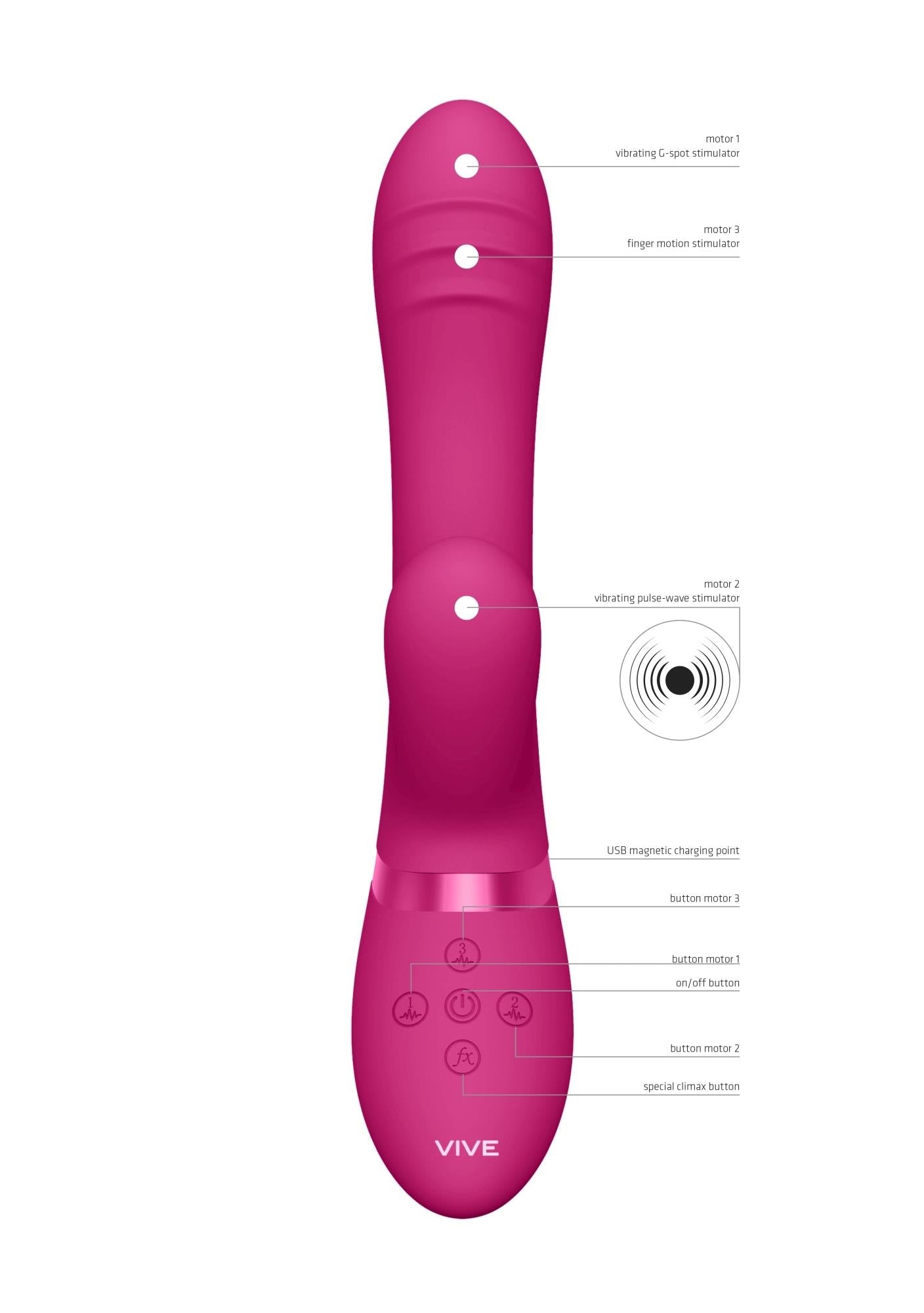 4-Tani - Pink-4