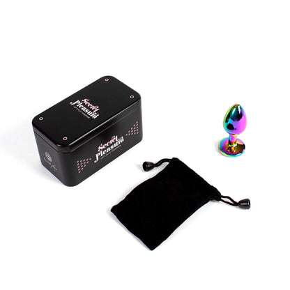 2-RAINBOW METAL BUTT PLUG-2