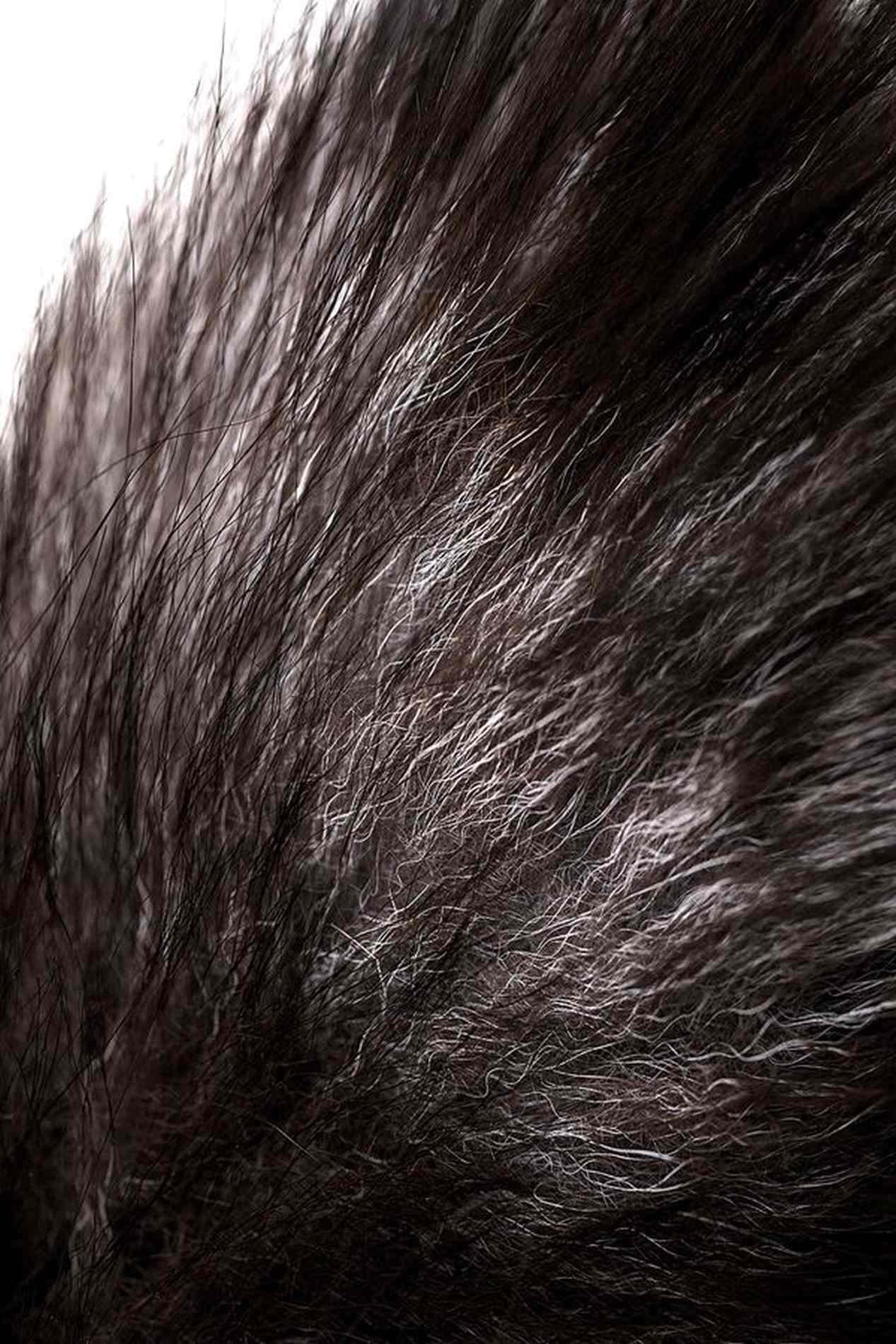 7-Silver anal plug with a fox tail-7