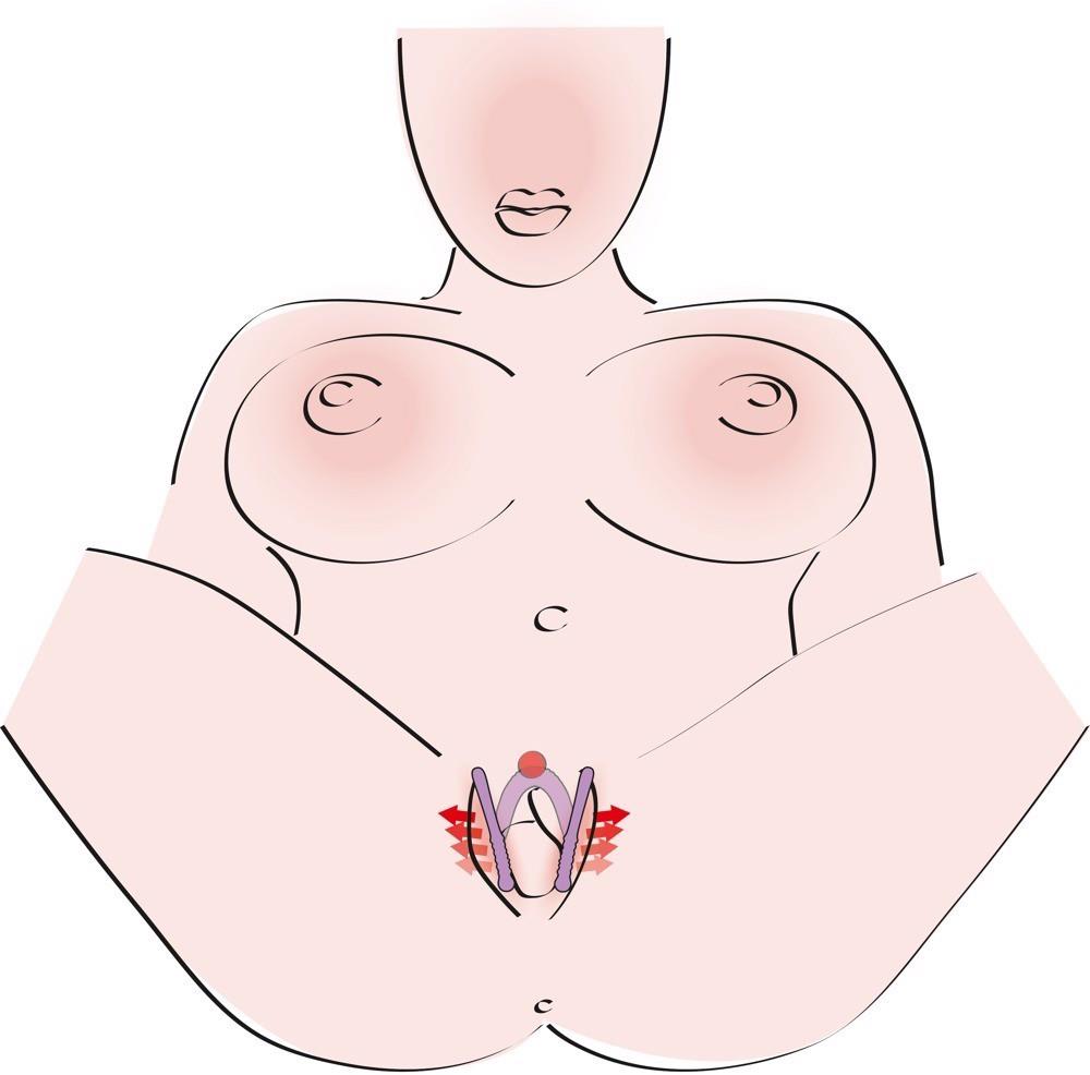 11-Intimate Spreader Li-11