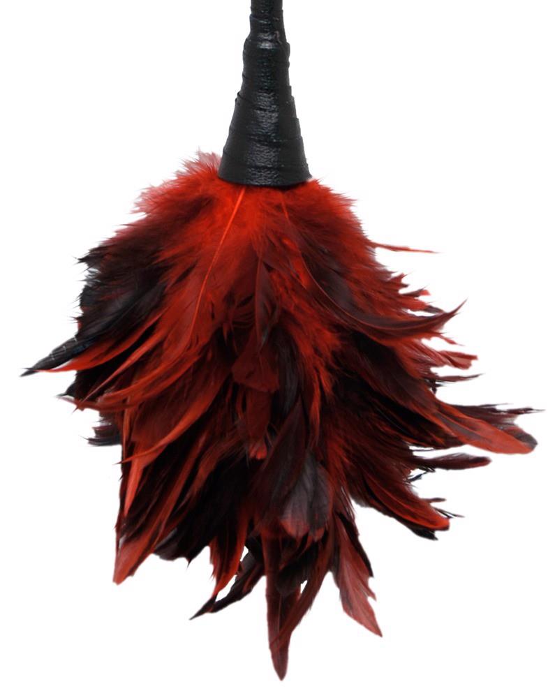 4-FFS Frisky Feather Duster-4