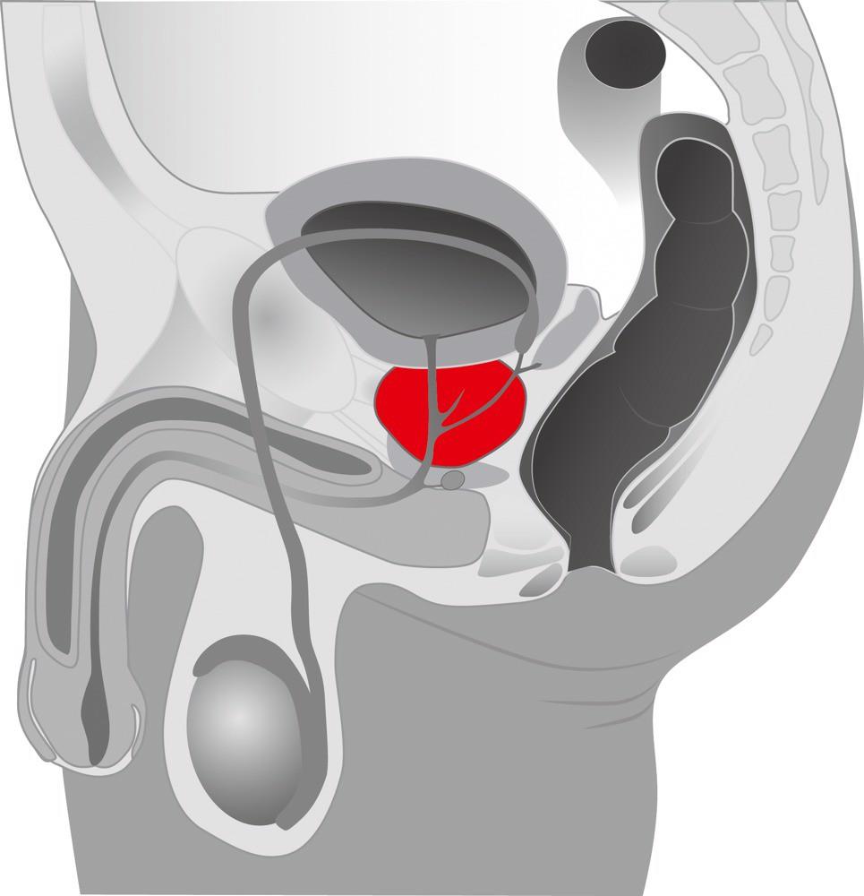 7-Rotacyjny masażer prostaty wibrator 5 trybów 20cm-7