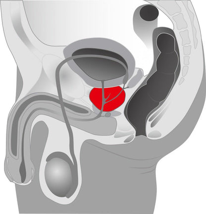 7-Rotacyjny masażer prostaty wibrator 5 trybów 20cm-7