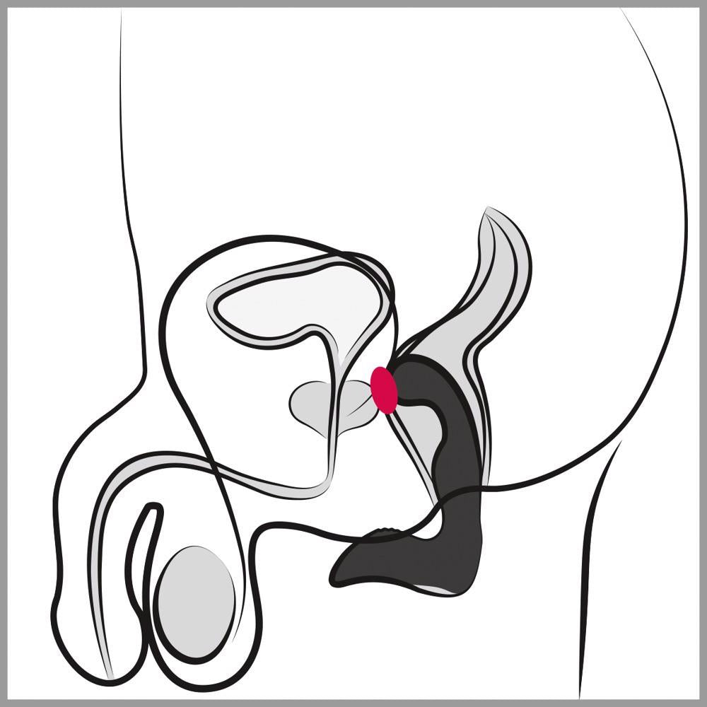13-Wibrujący masażer prostaty krocza 9 trybów 14cm-13