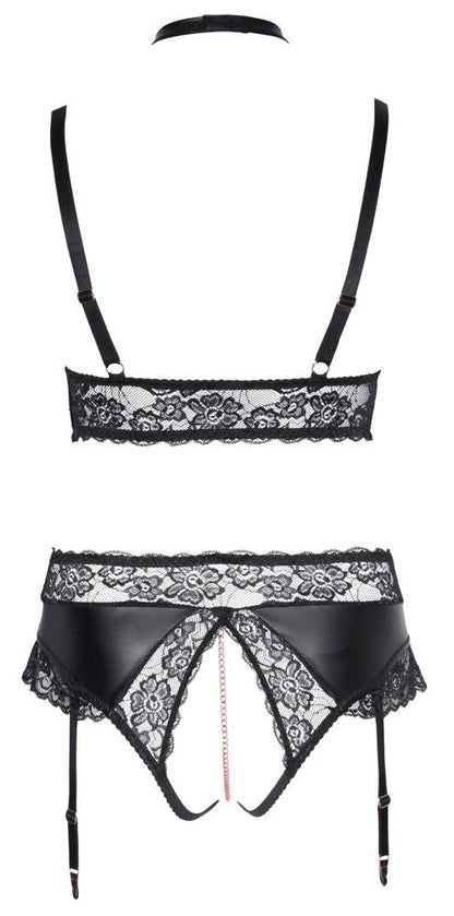 17-Bra and Suspender Briefs XL-17
