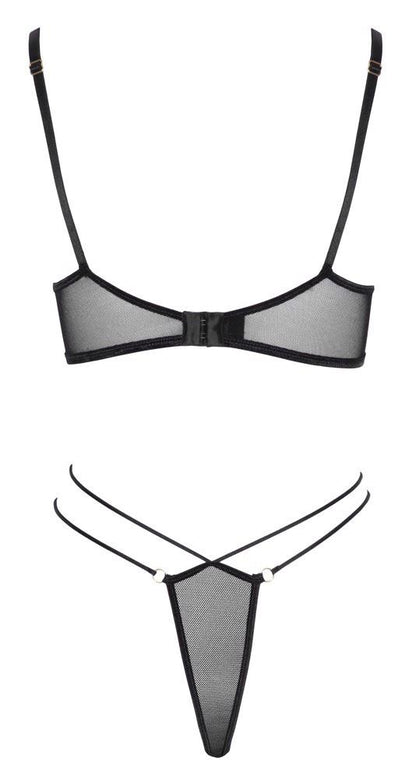 6-Bra and Rio L-6