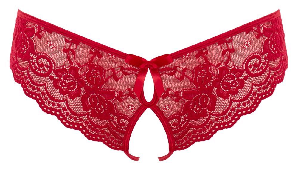 6-Lace Briefs Crotchless L-6