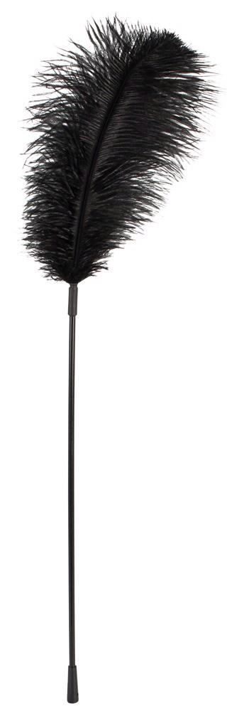 1-Black feather Bad Kitty-1