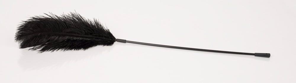 3-Black feather Bad Kitty-3
